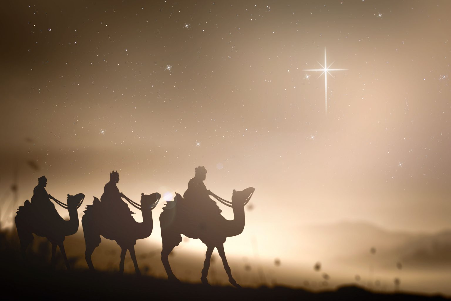 Epiphany 2021 Viewpoints