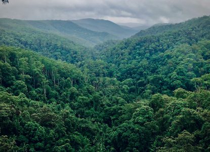 Ethical Paths on Amazon Rainforests