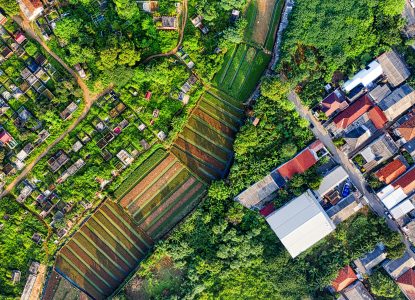 Transformative Change: A Bahá’í Perspective on the IPBES Assessment