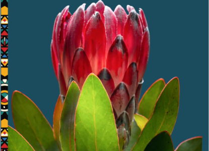 Celebrating 2025: A Year of Global Impact and Interfaith Collaboration