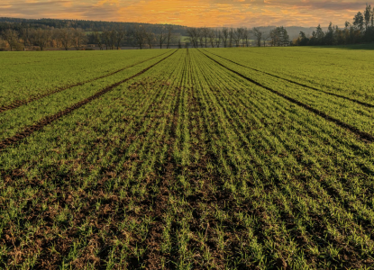 Regenerative Agriculture at COP30 (Part 1)