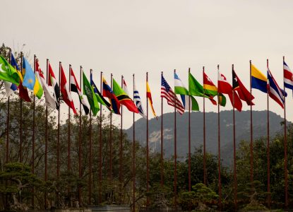 G20 Engagement Groups and Cross-Sector Allyship